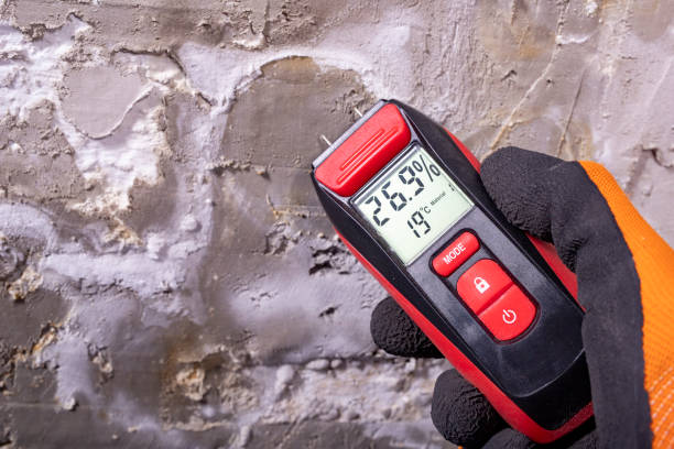 Best Residential Mold Removal  in Charlotte, TX